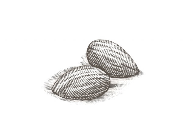 Almonds-2