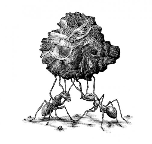 Ant-Builders