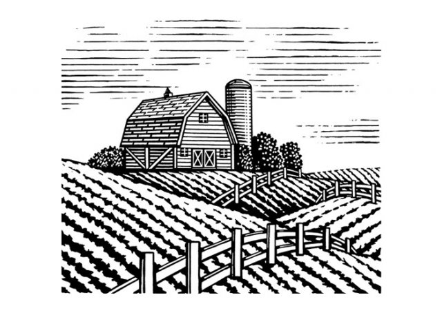 Farm-Barn-Silo-Art-2