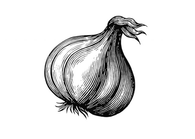 Garlic-Bulb