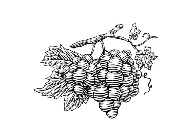 Grapes-Cluster-Woodcut
