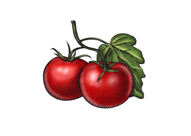 Organic_Tomatoes