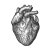 Heart-woodcut