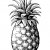 Pineapple-art