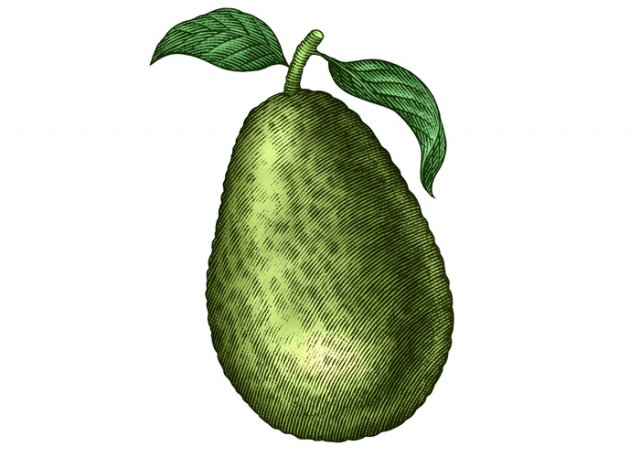 Avocado-