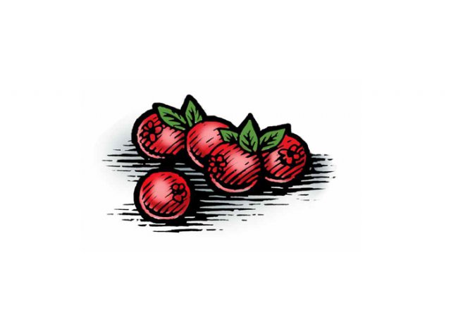Cranberries-1