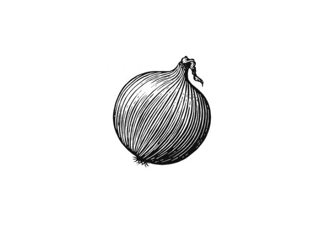 Onion-art