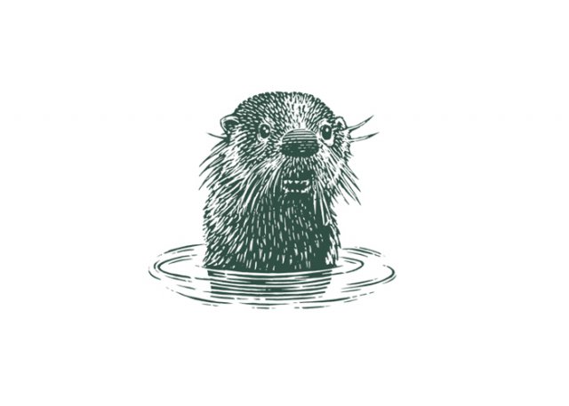Otter-in-the-water