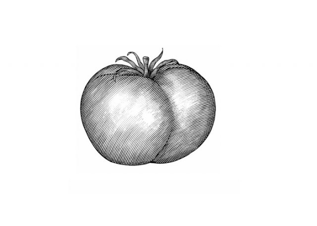 Tomato-6