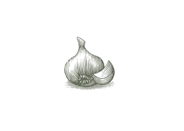 garlic-art