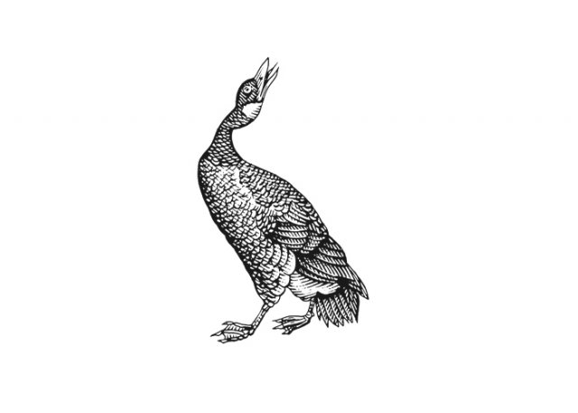 goose-art
