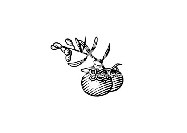 tomato-garlic
