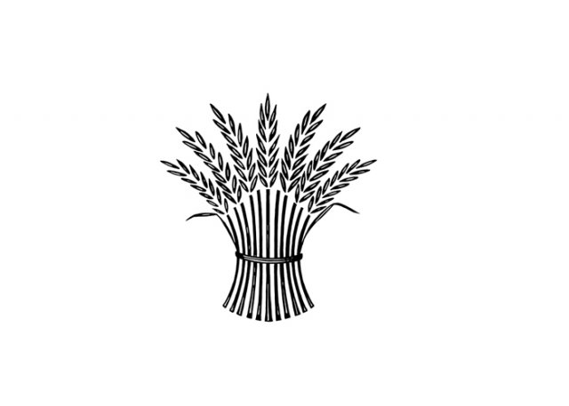 wheat-2