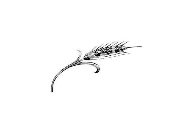 wheat-stock