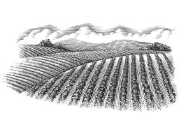 agricultural-landscape