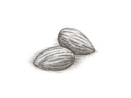 almonds-