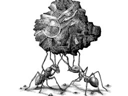 ant-builders