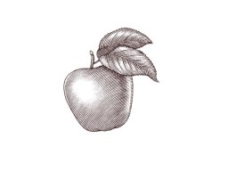 apple-2