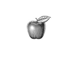 apple-icon