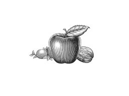 apple-walnut-cranberry