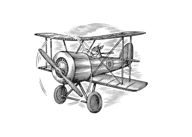 biplane