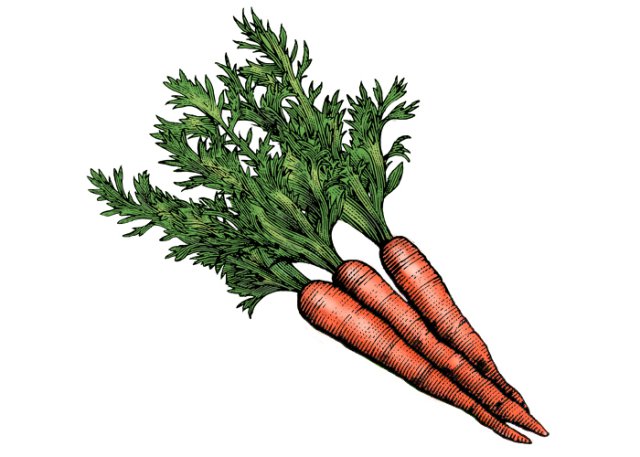 carrots