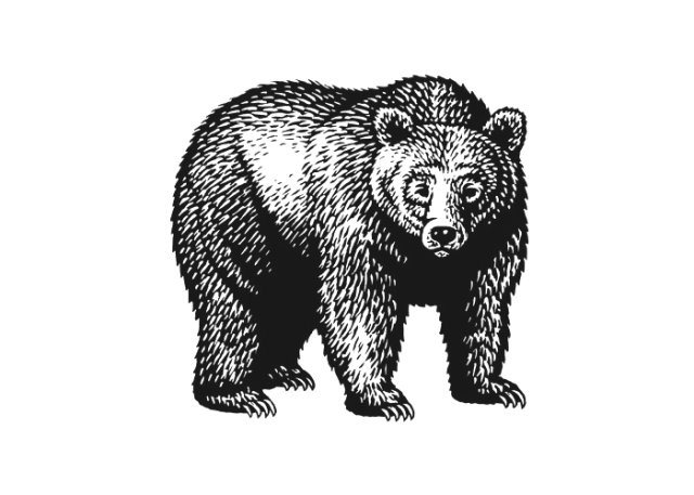 bear-woodcut