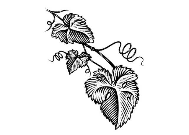 grape-leaves-art