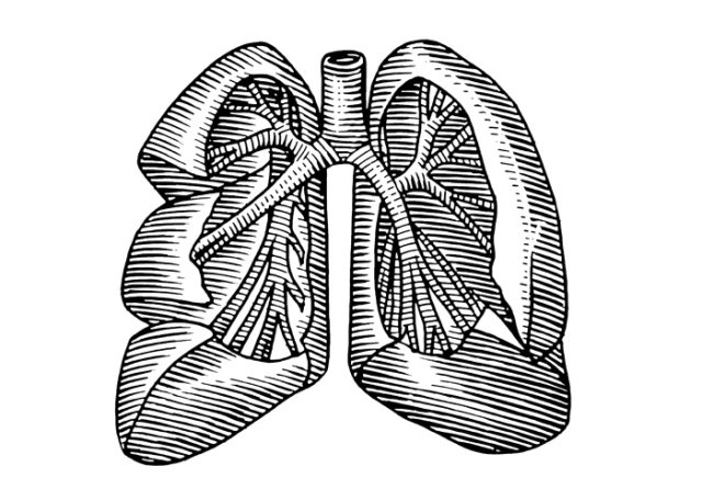 lungs-art