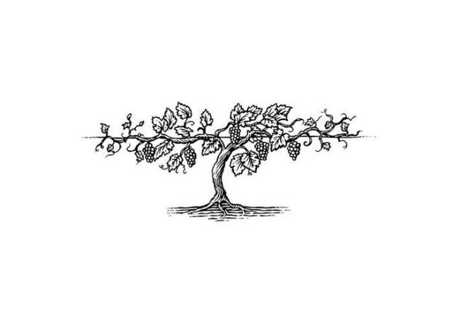 vine-tree-woodcut