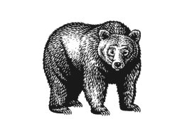 bear-woodcut