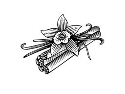 cinnamon-sticks--vanilla-art