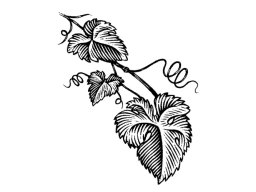 grape-leaves-art