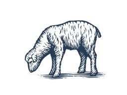 lamb-icon