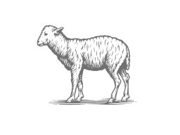 lamb-woodcut
