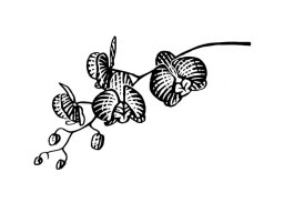orchid-woodcut-art