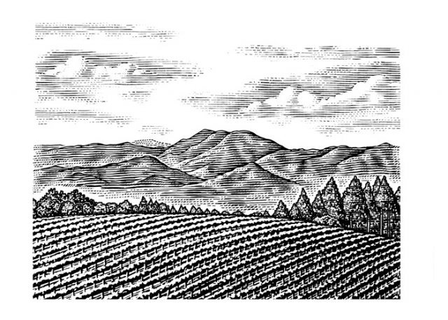 vineyard-final-art